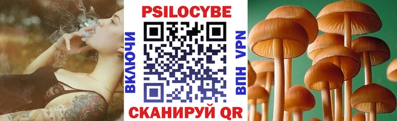 Псилоцибиновые грибы прущие грибы  Купить  Фёдоровский 
